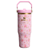 Stanley 1913 x LoveShackFancy IceFlow™ Flip Straw Tumbler | 30 OZ