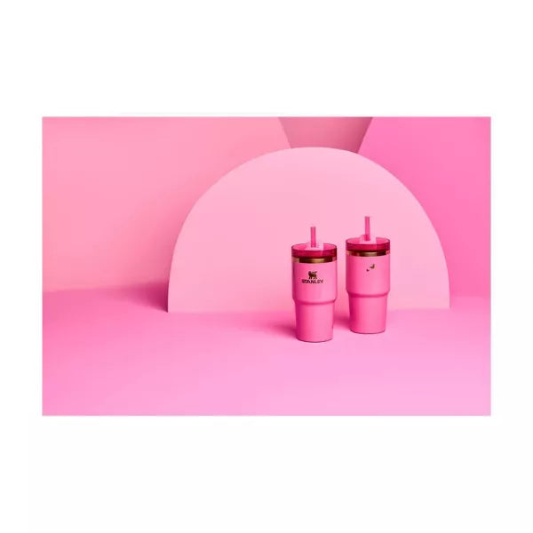 Stanley 20 oz Stainless Steel H2.0 FlowState Quencher Tumbler - Wicked